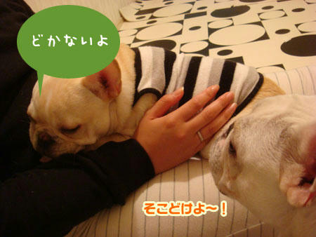 20071023_2.jpg