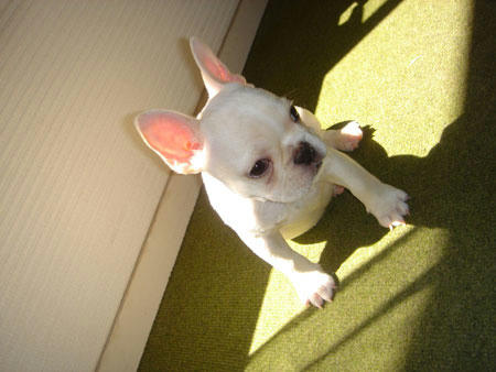 20071025_1.jpg