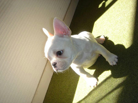 20071025_3.jpg