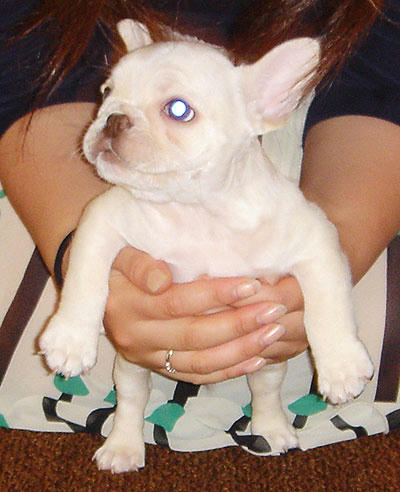 20071025_4.jpg