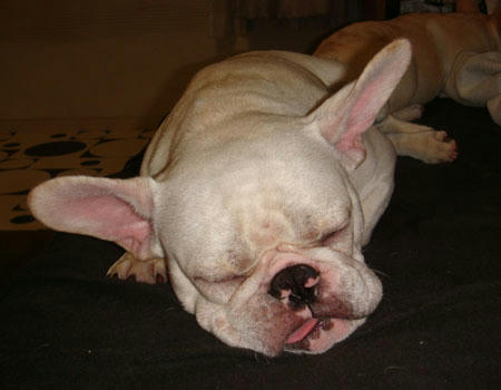 20071026_4.jpg