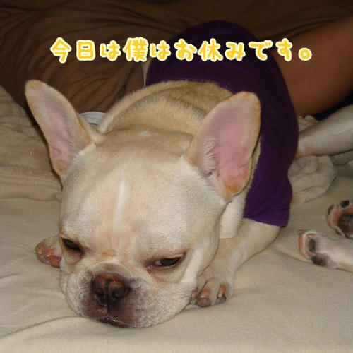 20071030_6.jpg