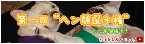 banner_hen.jpg