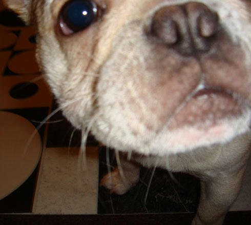 20071103_1.jpg