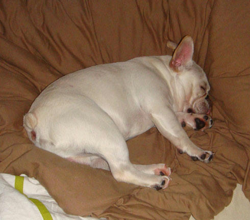 20071103_2.jpg