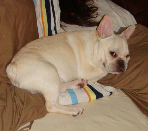 20071103_3.jpg