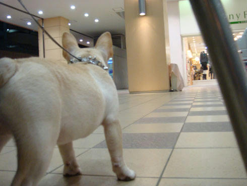 20071105_1.jpg