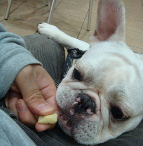 20071105_9.jpg