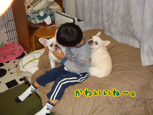 20071108_2.jpg
