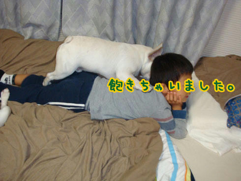 20071108_3.jpg