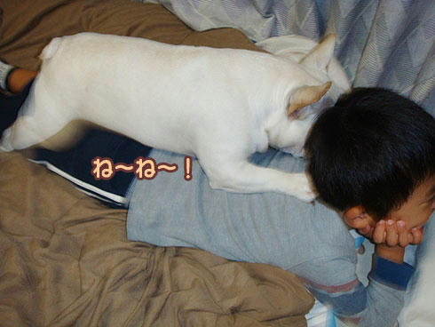 20071108_4.jpg