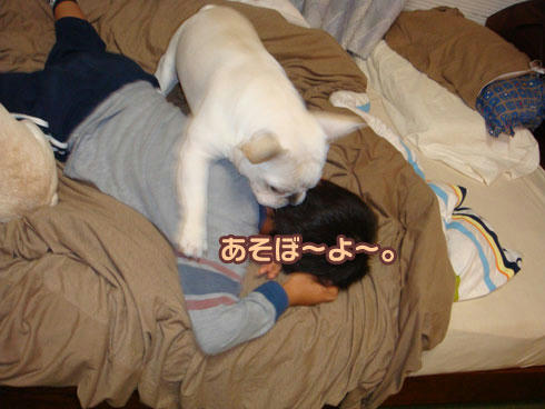 20071108_5.jpg