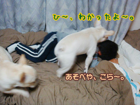 20071108_6.jpg