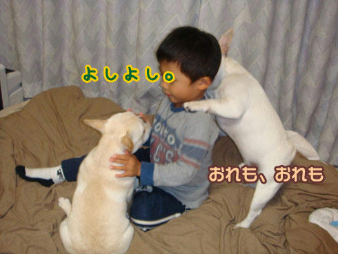 20071108_7.jpg