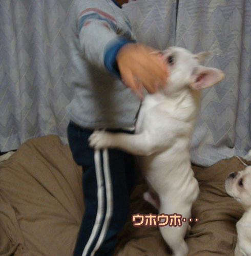 20071108_8.jpg