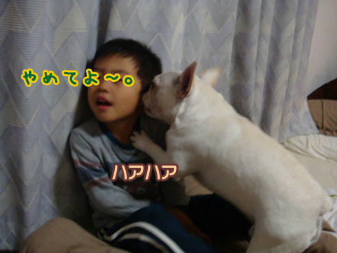 20071108_9.jpg