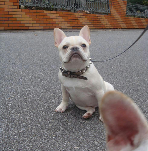 20071112_6.jpg