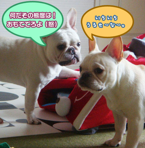 20071116_2.jpg