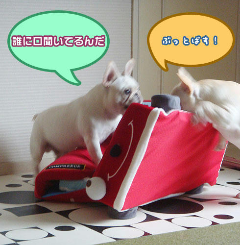 20071116_3.jpg