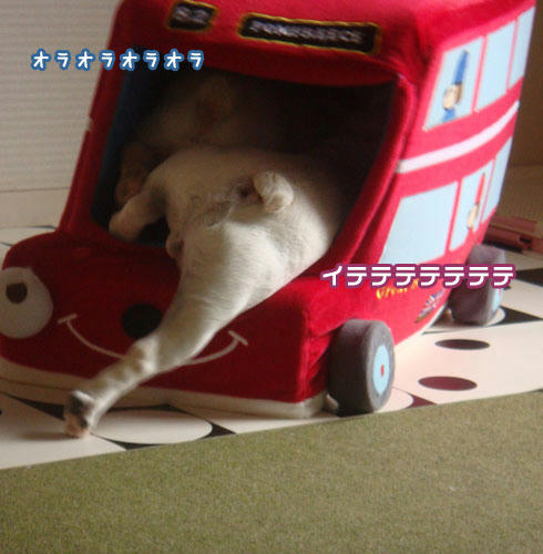 20071116_4.jpg