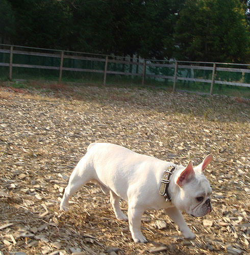 20071119_2.jpg