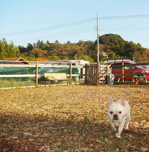 20071119_6.jpg