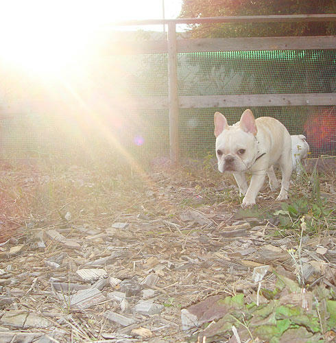 20071119_10.jpg