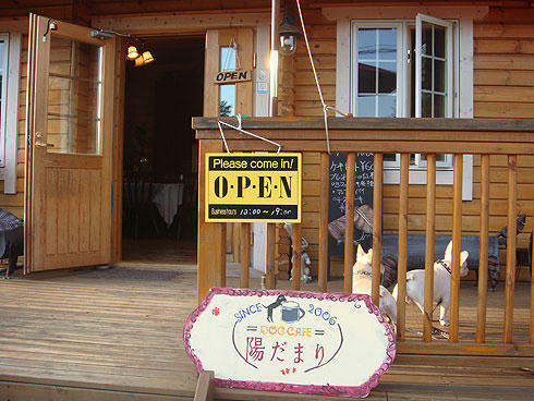 20071119_11.jpg
