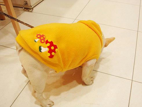20071121_3.jpg
