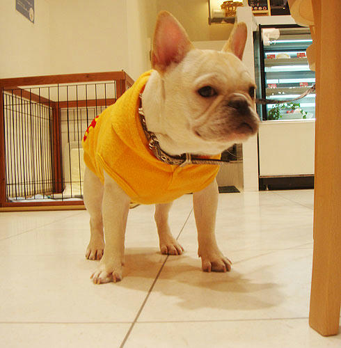 20071121_6.jpg