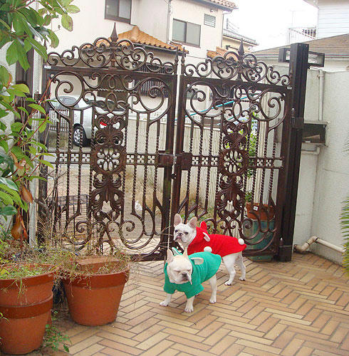 20071122_3.jpg