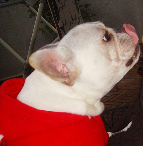 20071122_8.jpg