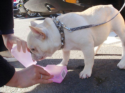 20071126_1.jpg
