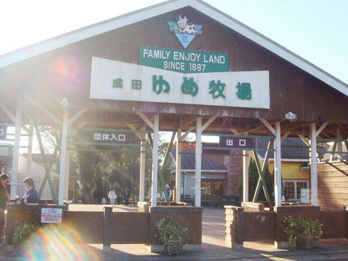 20071126_2.jpg
