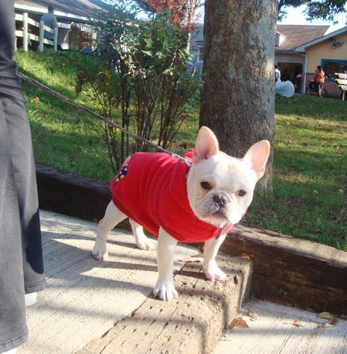 20071126_3.jpg