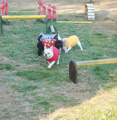 20071126_12.jpg