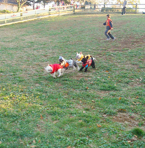 20071126_13.jpg