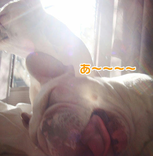 20071128_3.jpg