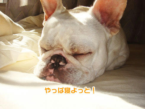 20071128_5.jpg