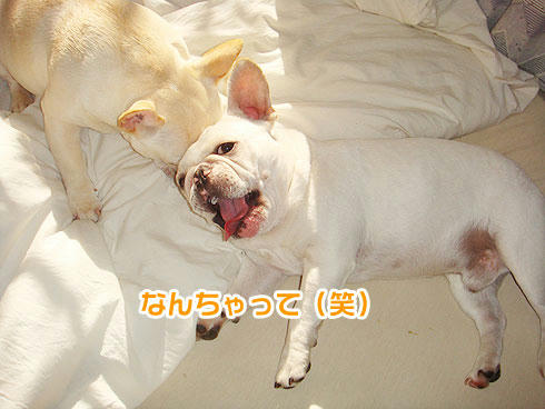 20071128_6.jpg