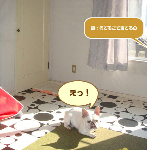 20071129_2.jpg