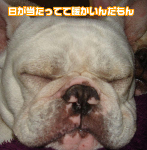 20071129_3.jpg