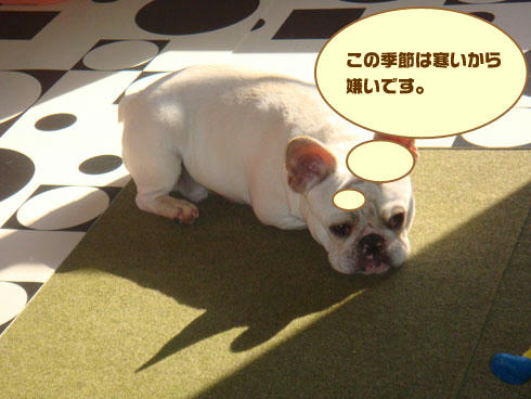 20071129_4.jpg