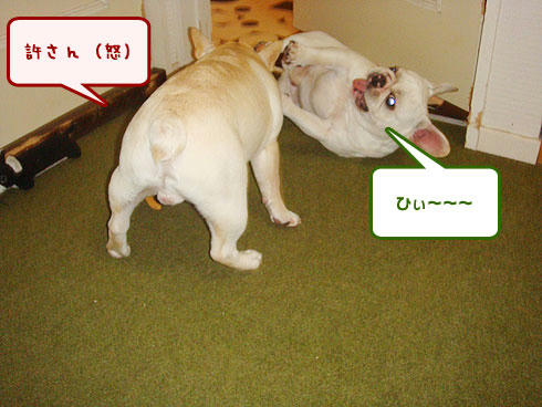 20071205_6.jpg