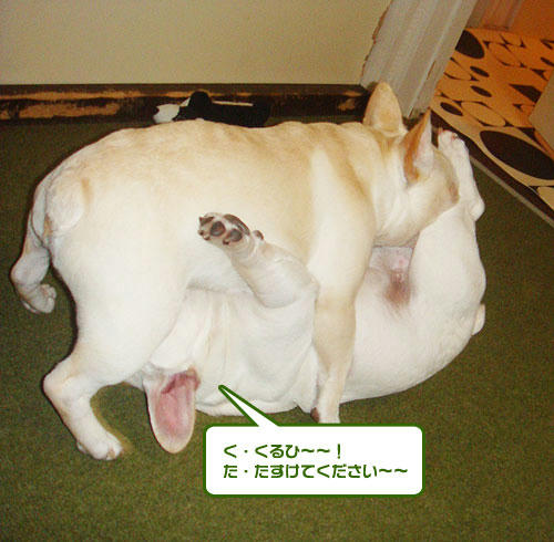 20071205_7.jpg