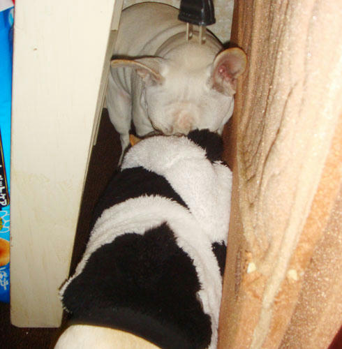 20071206_3.jpg