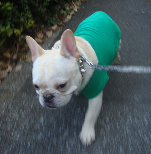 20071207_3.jpg