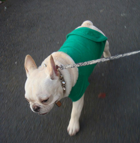 20071207_4.jpg