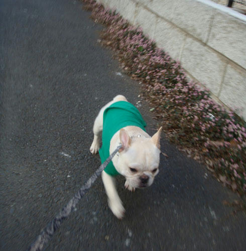 20071207_5.jpg