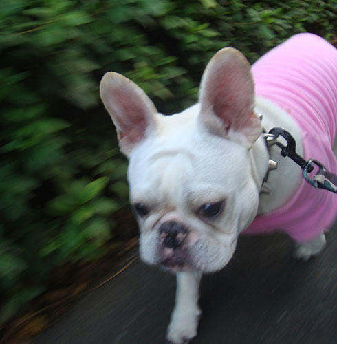 20071207_6.jpg